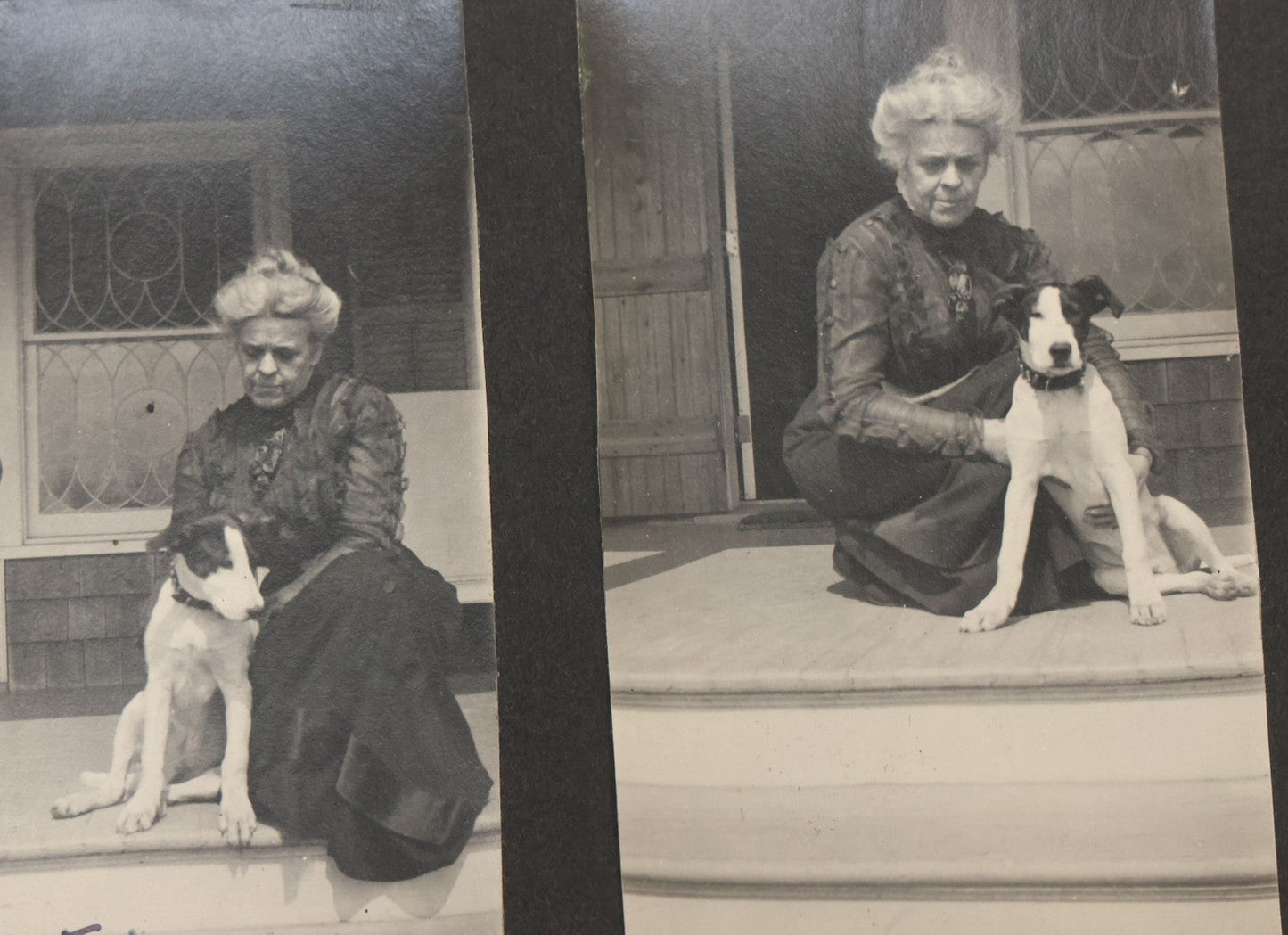 Lot 051 - Antique Snapshot Photo Album With 30+ Photographs Mostly Of Beloved Pets Including Dogs Named Beau, Naw, Ted, And Taffy, Cats Named Angel And Boo, And A Horse Name Rachet, Photos Taken In And Around Lily Pond, East Hampton, New York