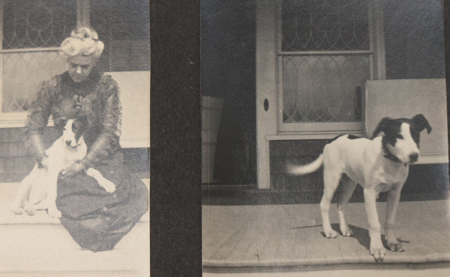 Lot 051 - Antique Snapshot Photo Album With 30+ Photographs Mostly Of Beloved Pets Including Dogs Named Beau, Naw, Ted, And Taffy, Cats Named Angel And Boo, And A Horse Name Rachet, Photos Taken In And Around Lily Pond, East Hampton, New York