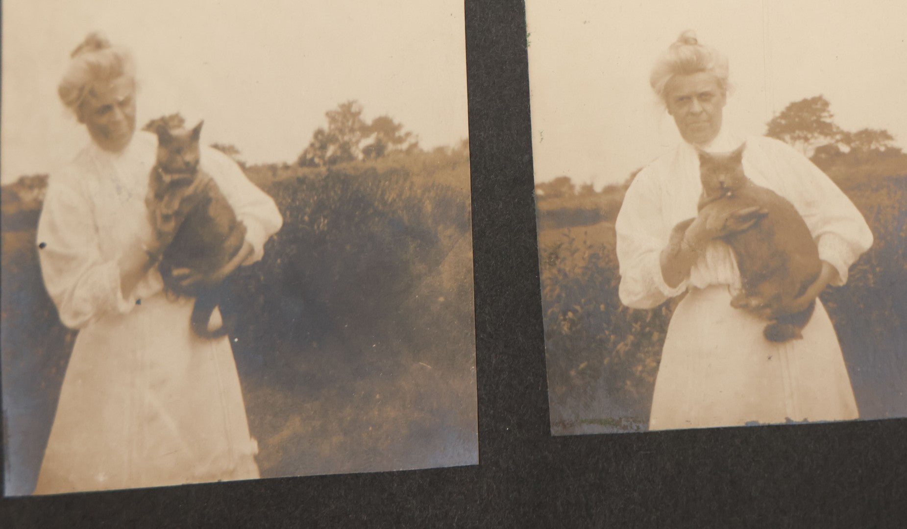 Lot 051 - Antique Snapshot Photo Album With 30+ Photographs Mostly Of Beloved Pets Including Dogs Named Beau, Naw, Ted, And Taffy, Cats Named Angel And Boo, And A Horse Name Rachet, Photos Taken In And Around Lily Pond, East Hampton, New York