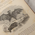 Lot 052 - "Stories About Animals" Antique Book By Thomas Jackson, Third Edition, Illustrated, With Custom Fine Binding For Bedford House Collegiate School, Cassell Petter & Galpin, Publishers London, Paris & New York, Circa 1880
