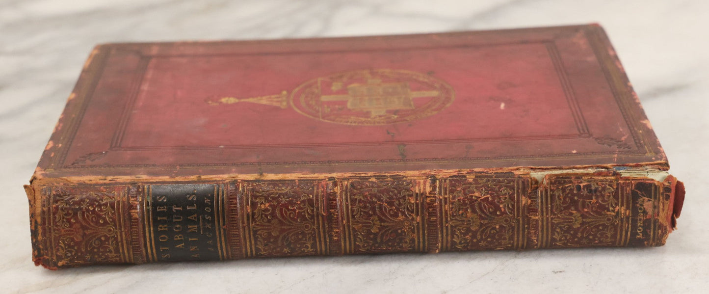 Lot 052 - "Stories About Animals" Antique Book By Thomas Jackson, Third Edition, Illustrated, With Custom Fine Binding For Bedford House Collegiate School, Cassell Petter & Galpin, Publishers London, Paris & New York, Circa 1880
