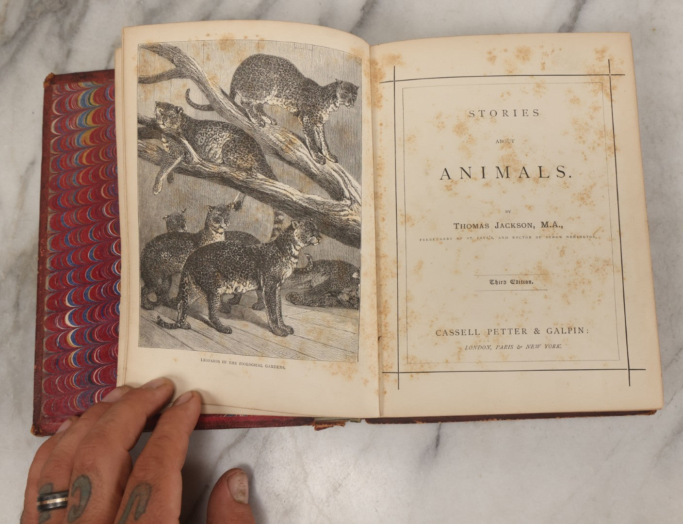Lot 052 - "Stories About Animals" Antique Book By Thomas Jackson, Third Edition, Illustrated, With Custom Fine Binding For Bedford House Collegiate School, Cassell Petter & Galpin, Publishers London, Paris & New York, Circa 1880