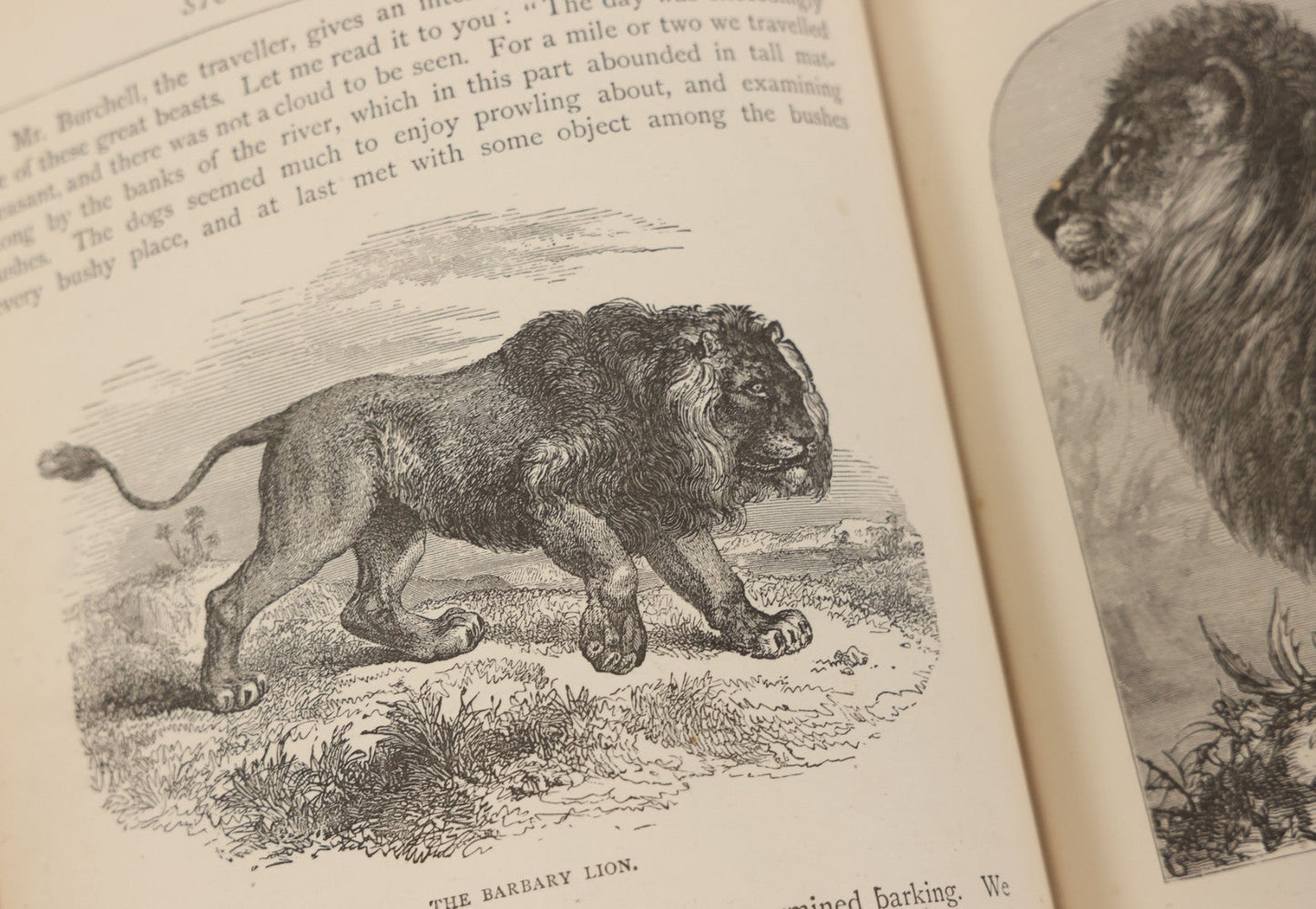 Lot 052 - "Stories About Animals" Antique Book By Thomas Jackson, Third Edition, Illustrated, With Custom Fine Binding For Bedford House Collegiate School, Cassell Petter & Galpin, Publishers London, Paris & New York, Circa 1880