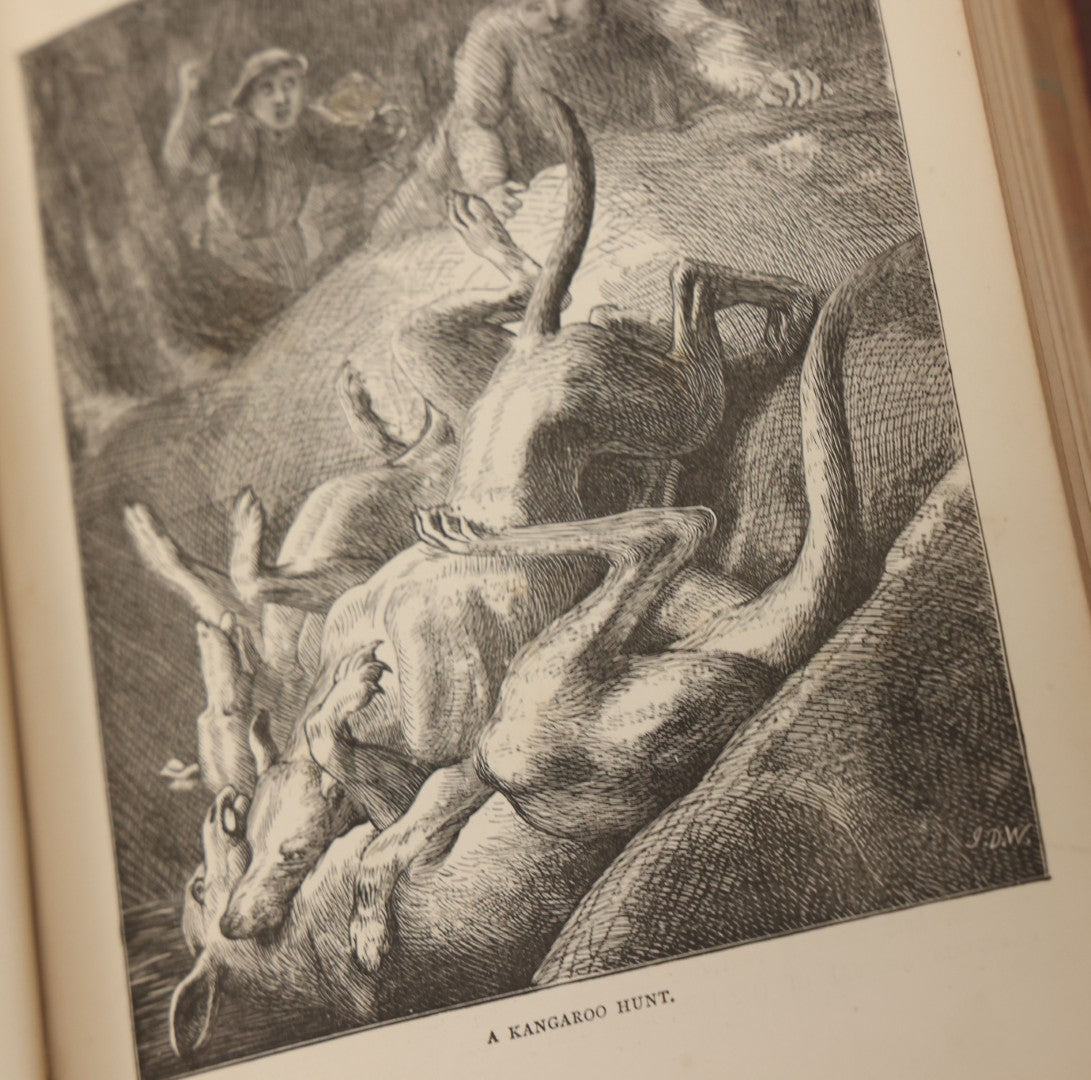Lot 052 - "Stories About Animals" Antique Book By Thomas Jackson, Third Edition, Illustrated, With Custom Fine Binding For Bedford House Collegiate School, Cassell Petter & Galpin, Publishers London, Paris & New York, Circa 1880