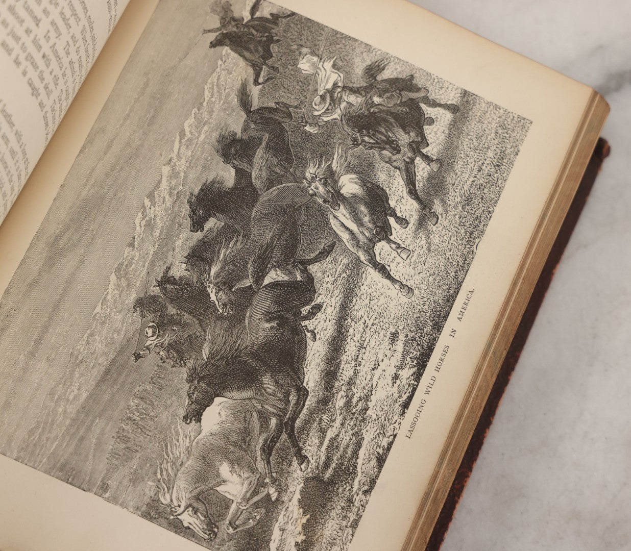 Lot 052 - "Stories About Animals" Antique Book By Thomas Jackson, Third Edition, Illustrated, With Custom Fine Binding For Bedford House Collegiate School, Cassell Petter & Galpin, Publishers London, Paris & New York, Circa 1880