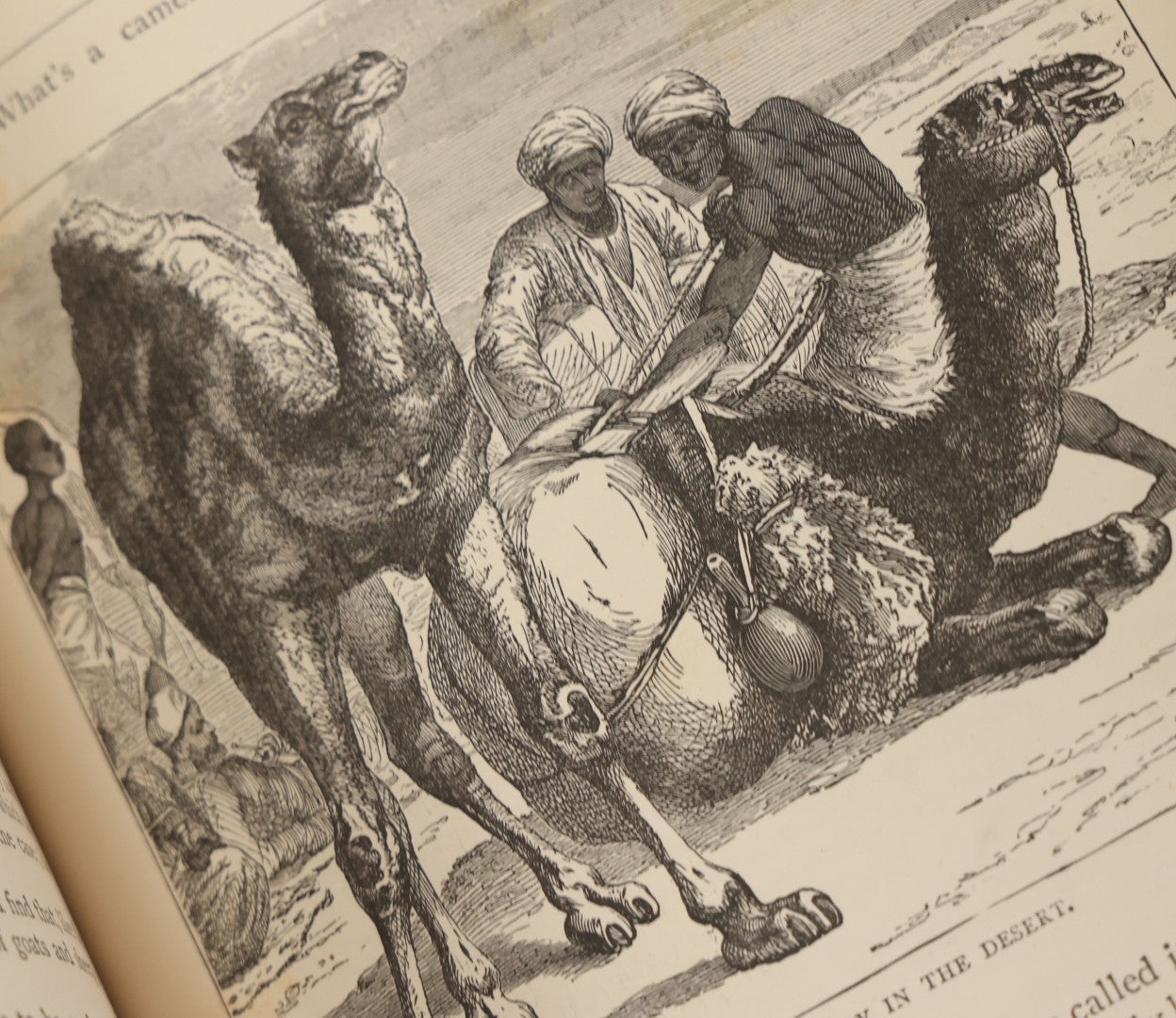 Lot 052 - "Stories About Animals" Antique Book By Thomas Jackson, Third Edition, Illustrated, With Custom Fine Binding For Bedford House Collegiate School, Cassell Petter & Galpin, Publishers London, Paris & New York, Circa 1880