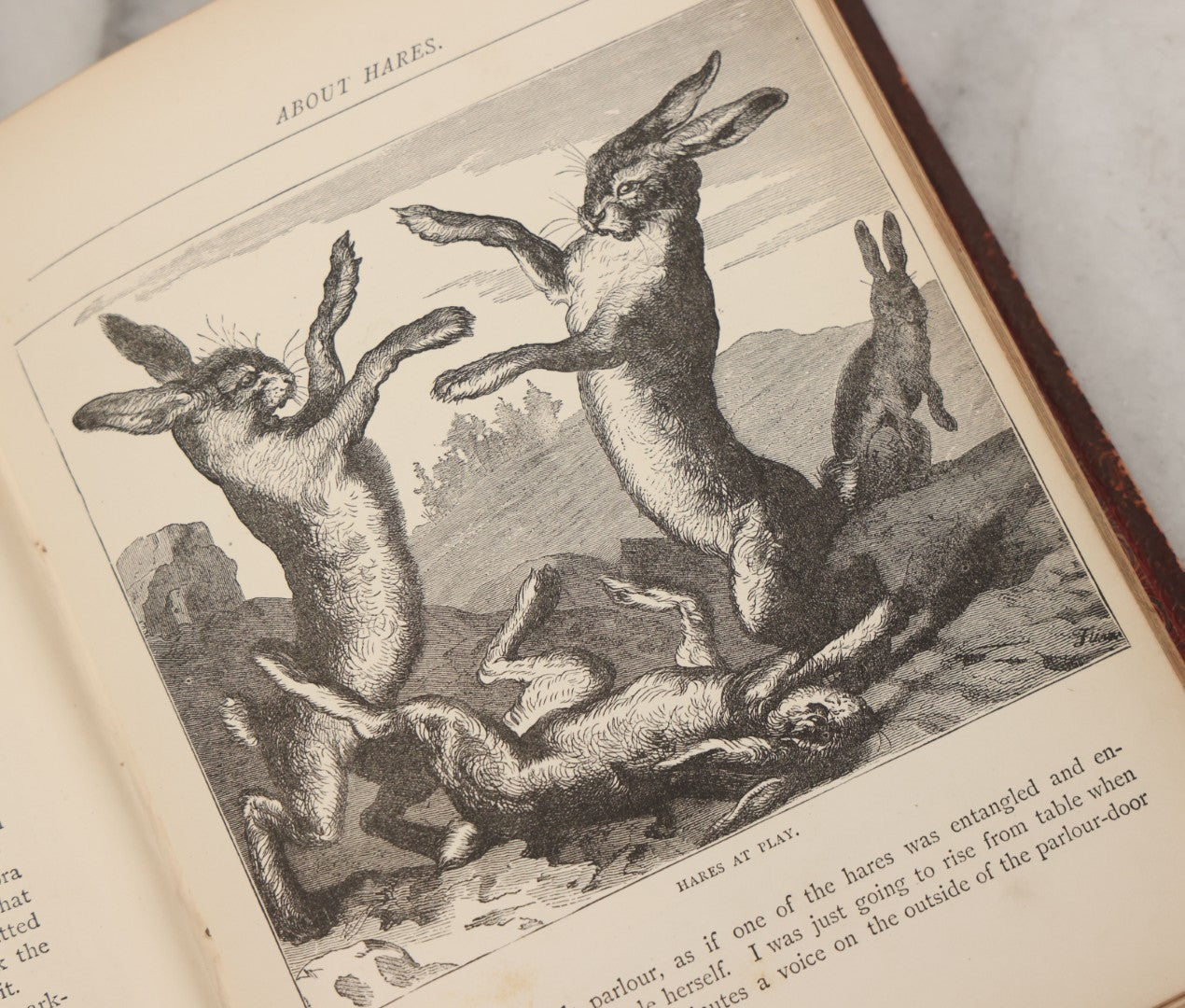 Lot 052 - "Stories About Animals" Antique Book By Thomas Jackson, Third Edition, Illustrated, With Custom Fine Binding For Bedford House Collegiate School, Cassell Petter & Galpin, Publishers London, Paris & New York, Circa 1880