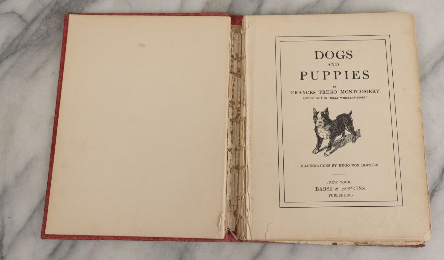 Lot 053 - "Dogs And Puppies" Antique Book By Frances Trego Montgomery, With Illustrations By Hugo Von Hofsten, Barse & Hopkins Publishers New York, 1908
