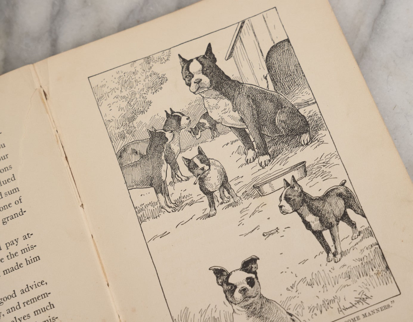 Lot 053 - "Dogs And Puppies" Antique Book By Frances Trego Montgomery, With Illustrations By Hugo Von Hofsten, Barse & Hopkins Publishers New York, 1908