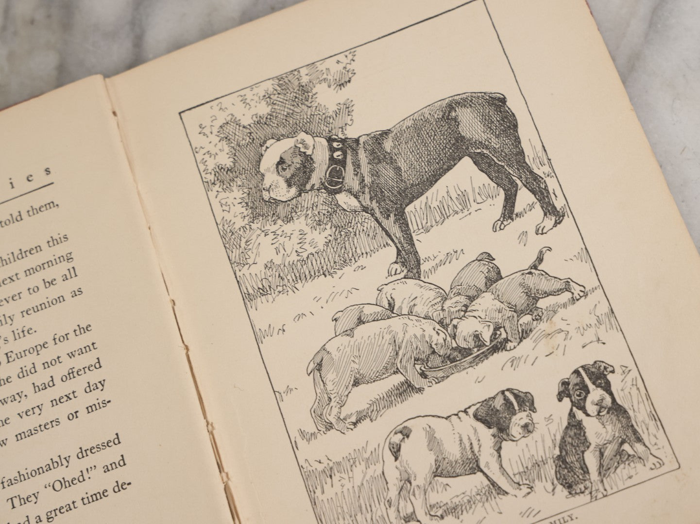 Lot 053 - "Dogs And Puppies" Antique Book By Frances Trego Montgomery, With Illustrations By Hugo Von Hofsten, Barse & Hopkins Publishers New York, 1908