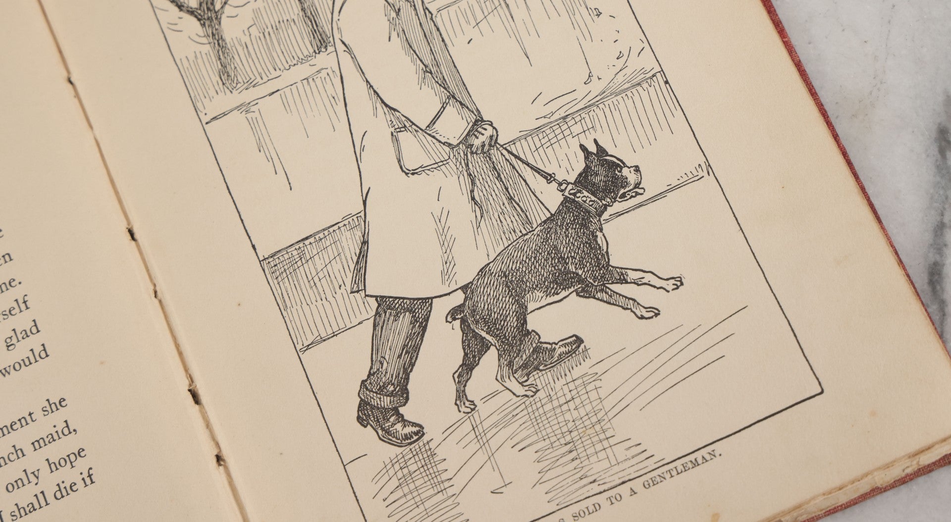 Lot 053 - "Dogs And Puppies" Antique Book By Frances Trego Montgomery, With Illustrations By Hugo Von Hofsten, Barse & Hopkins Publishers New York, 1908