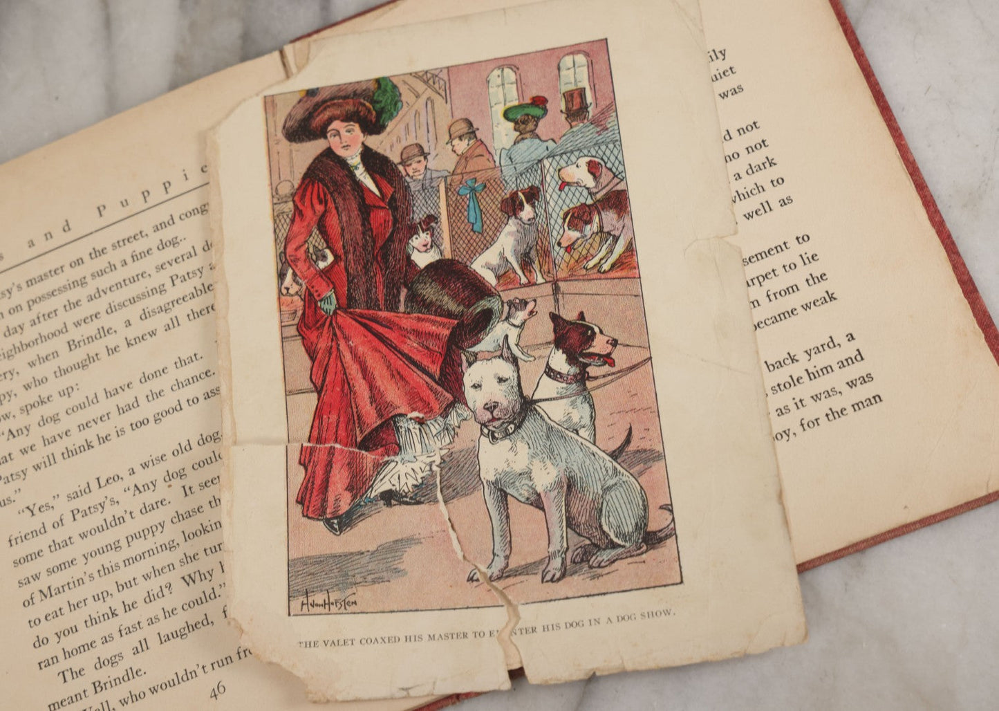 Lot 053 - "Dogs And Puppies" Antique Book By Frances Trego Montgomery, With Illustrations By Hugo Von Hofsten, Barse & Hopkins Publishers New York, 1908