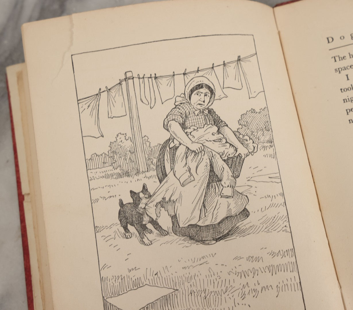 Lot 053 - "Dogs And Puppies" Antique Book By Frances Trego Montgomery, With Illustrations By Hugo Von Hofsten, Barse & Hopkins Publishers New York, 1908