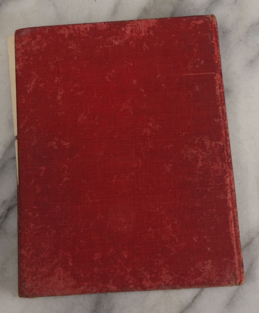 Lot 053 - "Dogs And Puppies" Antique Book By Frances Trego Montgomery, With Illustrations By Hugo Von Hofsten, Barse & Hopkins Publishers New York, 1908