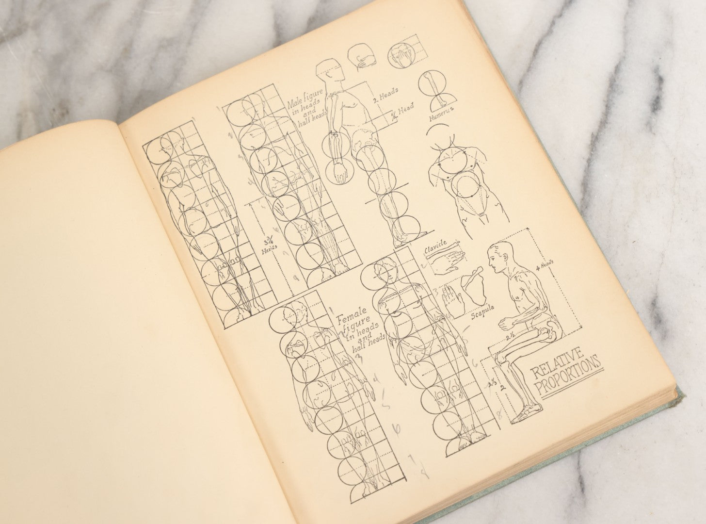 Lot 061 - "Anatomy And Drawing" Vintage Book By Victor Perard With Over One Thousand Illustrations Published By The Author, Third Edition, Fourth Printing, 1940