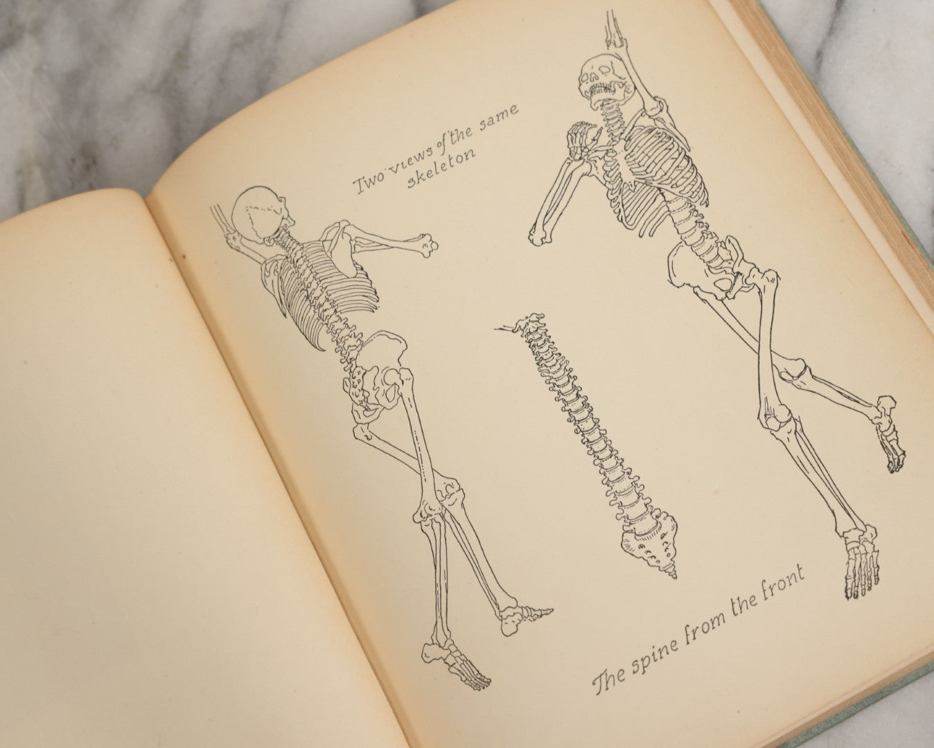 Lot 061 - "Anatomy And Drawing" Vintage Book By Victor Perard With Over One Thousand Illustrations Published By The Author, Third Edition, Fourth Printing, 1940