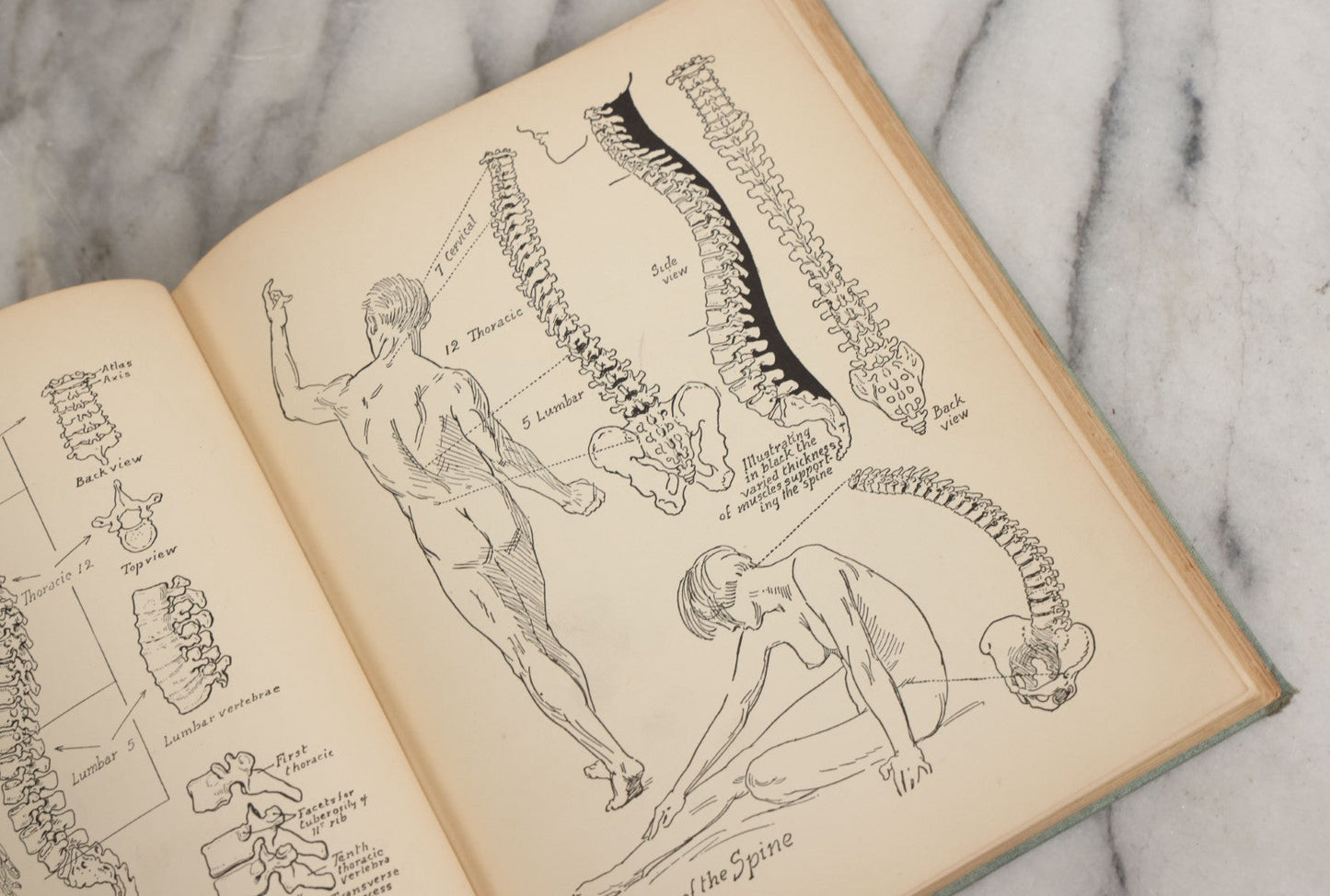 Lot 061 - "Anatomy And Drawing" Vintage Book By Victor Perard With Over One Thousand Illustrations Published By The Author, Third Edition, Fourth Printing, 1940