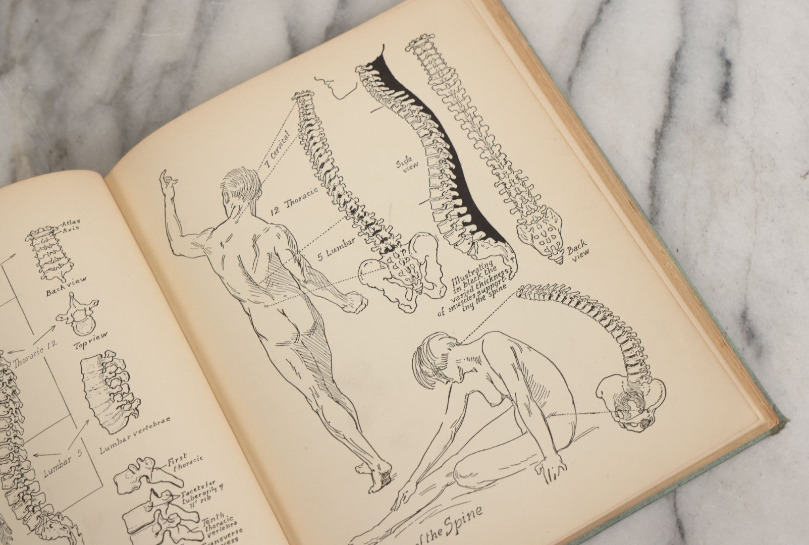 Lot 061 - "Anatomy And Drawing" Vintage Book By Victor Perard With Over One Thousand Illustrations Published By The Author, Third Edition, Fourth Printing, 1940