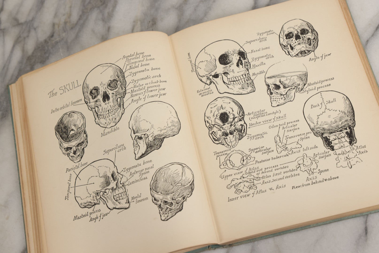 Lot 061 - "Anatomy And Drawing" Vintage Book By Victor Perard With Over One Thousand Illustrations Published By The Author, Third Edition, Fourth Printing, 1940