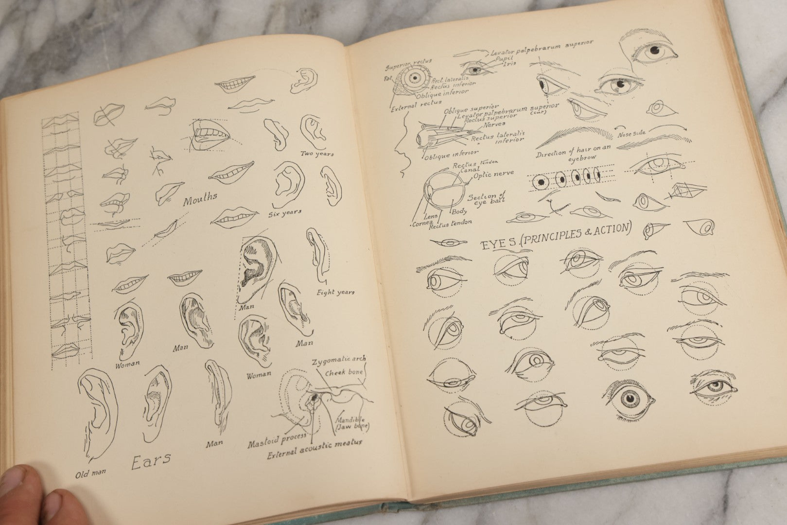 Lot 061 - "Anatomy And Drawing" Vintage Book By Victor Perard With Over One Thousand Illustrations Published By The Author, Third Edition, Fourth Printing, 1940