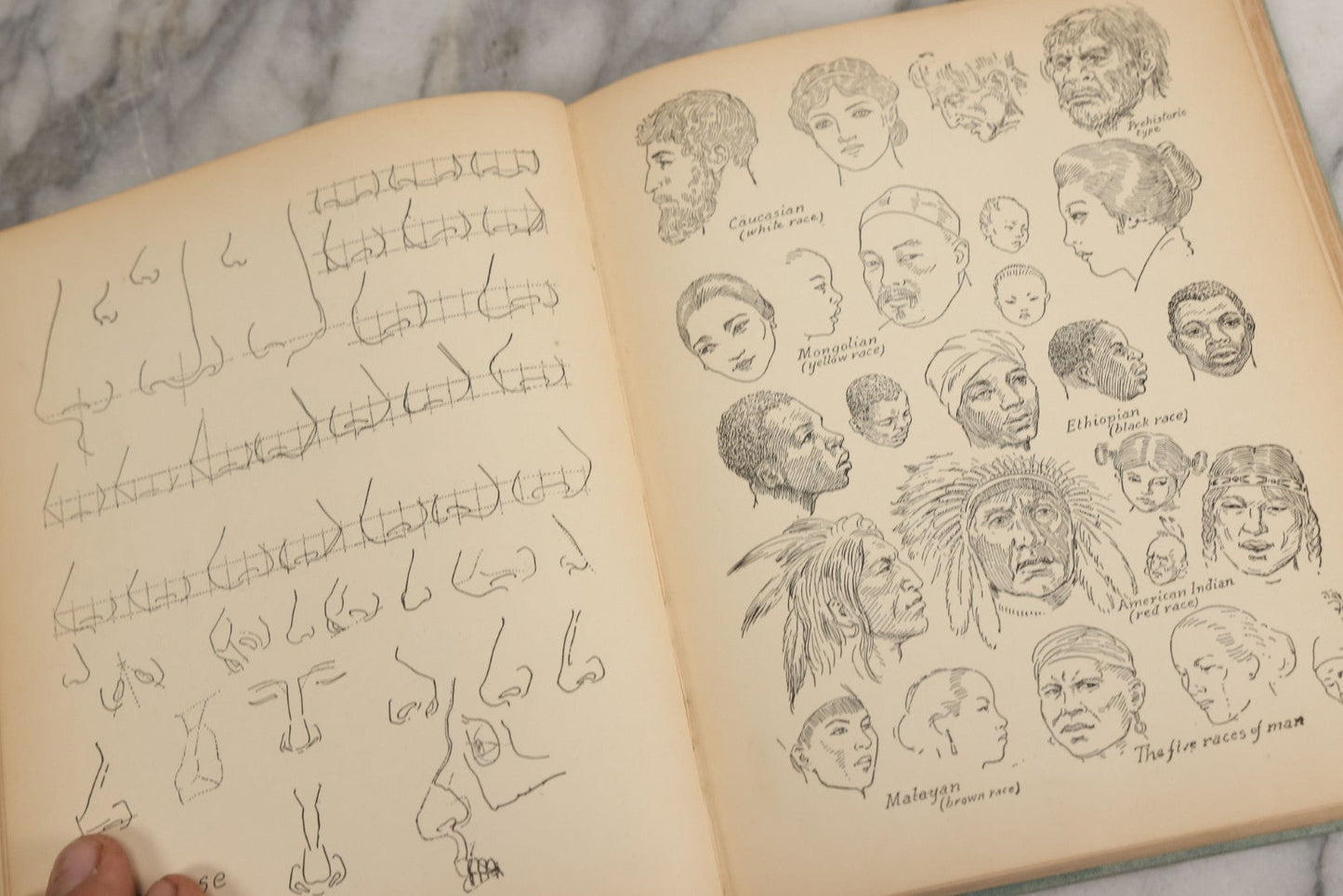 Lot 061 - "Anatomy And Drawing" Vintage Book By Victor Perard With Over One Thousand Illustrations Published By The Author, Third Edition, Fourth Printing, 1940