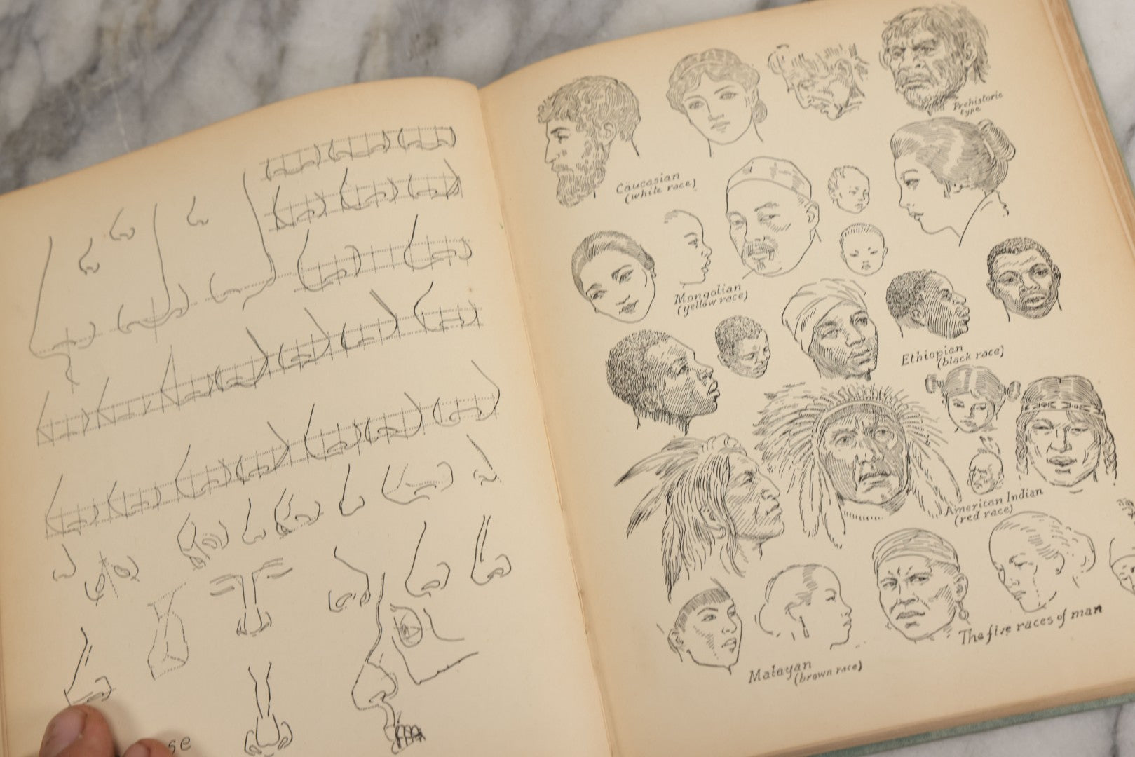 Lot 061 - "Anatomy And Drawing" Vintage Book By Victor Perard With Over One Thousand Illustrations Published By The Author, Third Edition, Fourth Printing, 1940