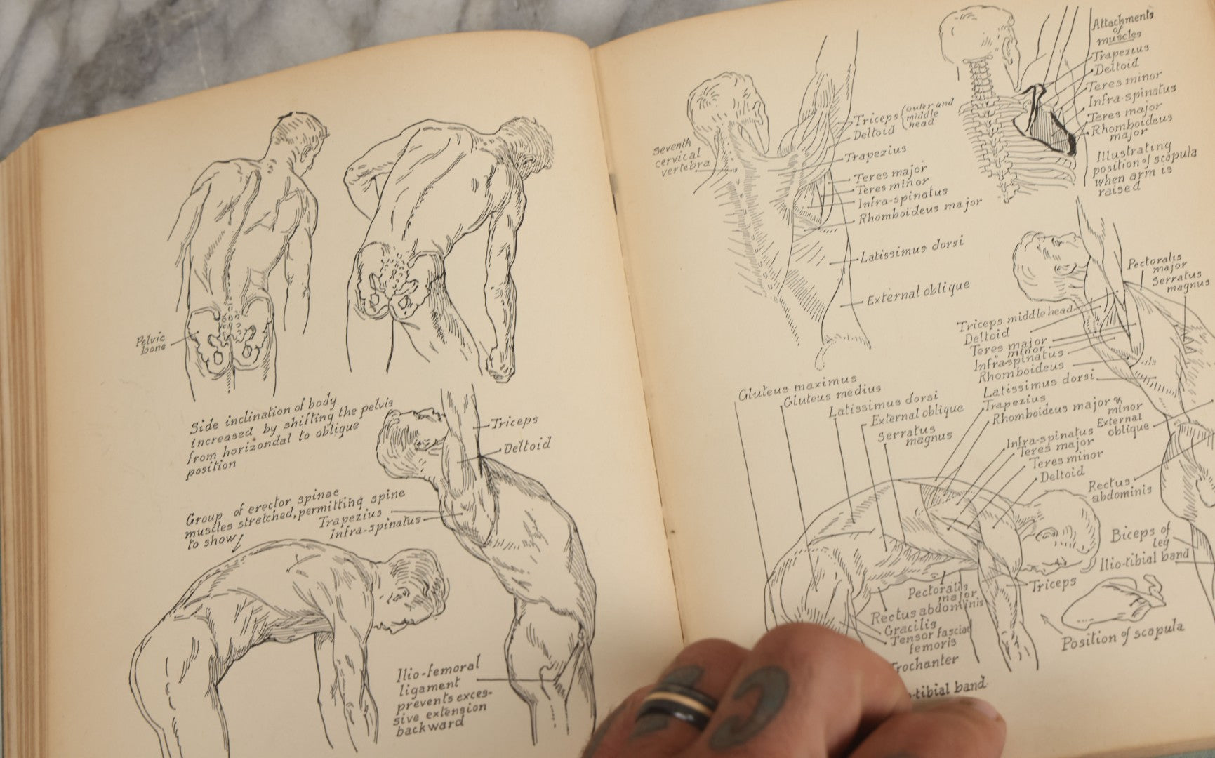 Lot 061 - "Anatomy And Drawing" Vintage Book By Victor Perard With Over One Thousand Illustrations Published By The Author, Third Edition, Fourth Printing, 1940