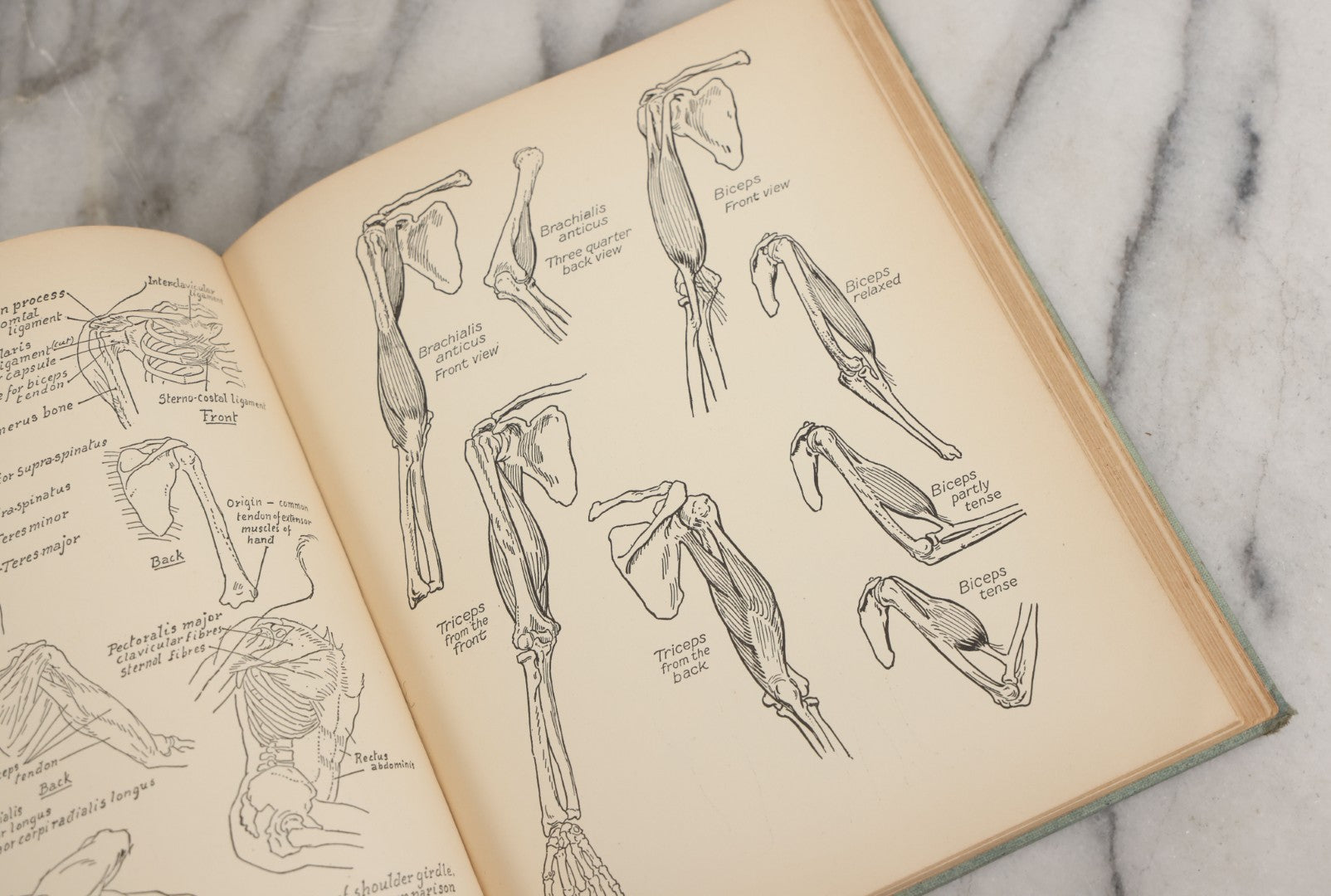 Lot 061 - "Anatomy And Drawing" Vintage Book By Victor Perard With Over One Thousand Illustrations Published By The Author, Third Edition, Fourth Printing, 1940