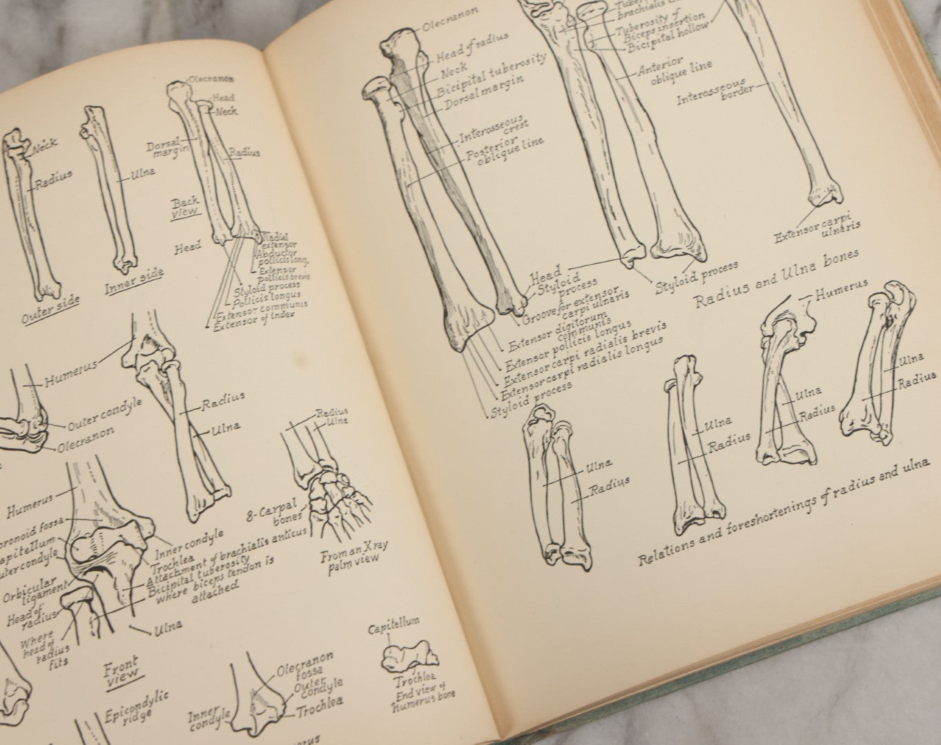 Lot 061 - "Anatomy And Drawing" Vintage Book By Victor Perard With Over One Thousand Illustrations Published By The Author, Third Edition, Fourth Printing, 1940