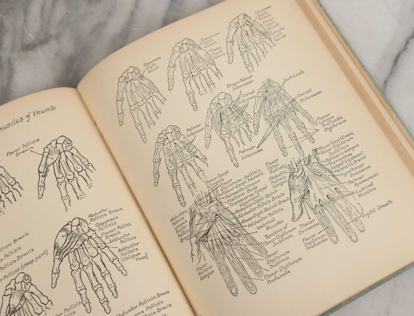 Lot 061 - "Anatomy And Drawing" Vintage Book By Victor Perard With Over One Thousand Illustrations Published By The Author, Third Edition, Fourth Printing, 1940