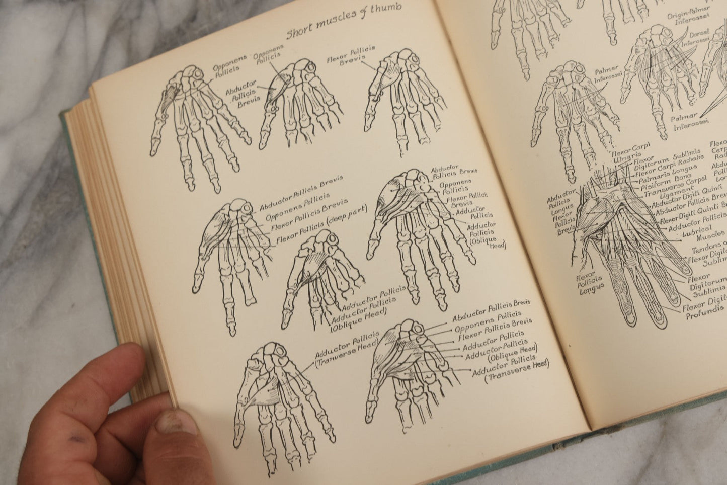 Lot 061 - "Anatomy And Drawing" Vintage Book By Victor Perard With Over One Thousand Illustrations Published By The Author, Third Edition, Fourth Printing, 1940