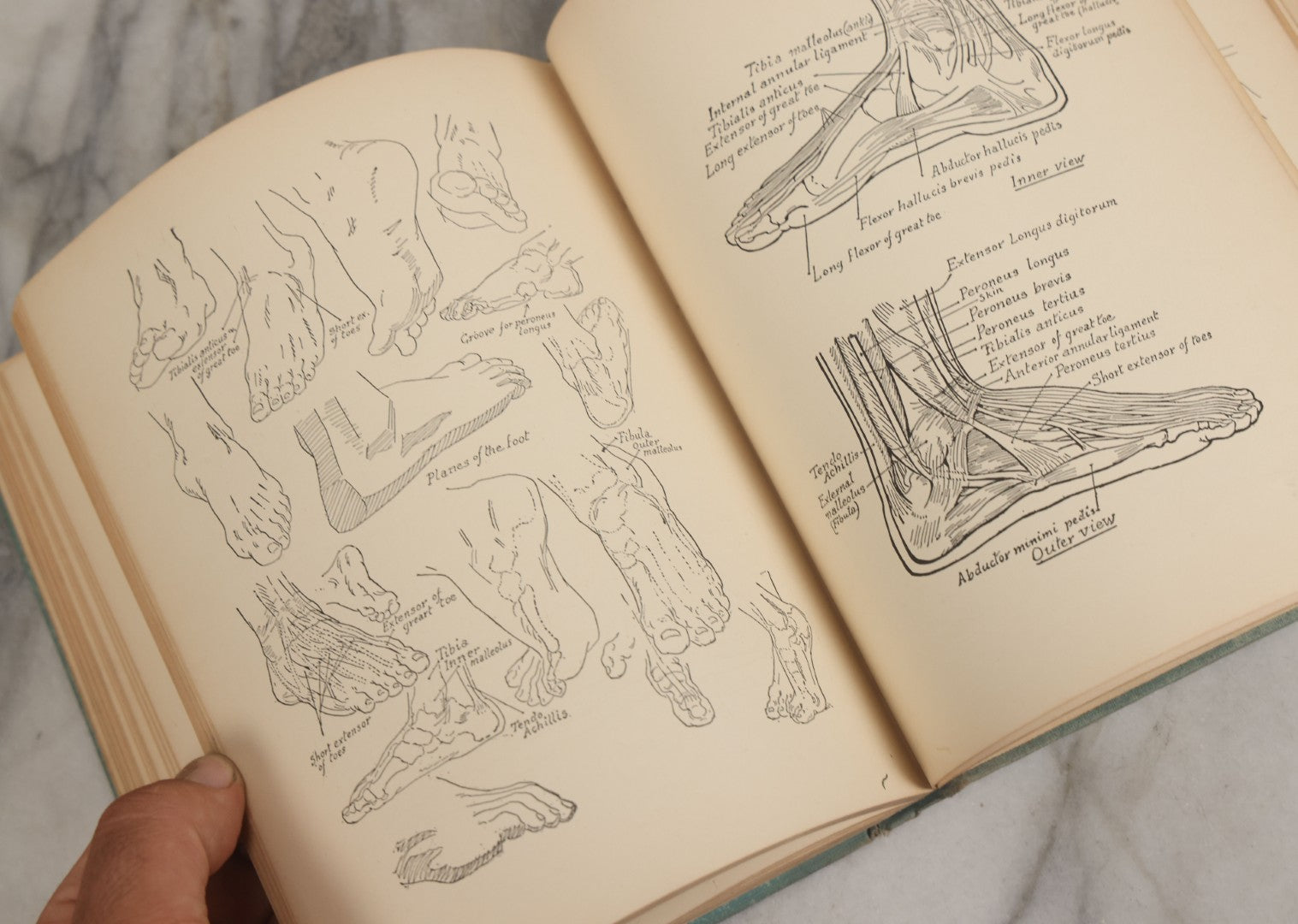 Lot 061 - "Anatomy And Drawing" Vintage Book By Victor Perard With Over One Thousand Illustrations Published By The Author, Third Edition, Fourth Printing, 1940