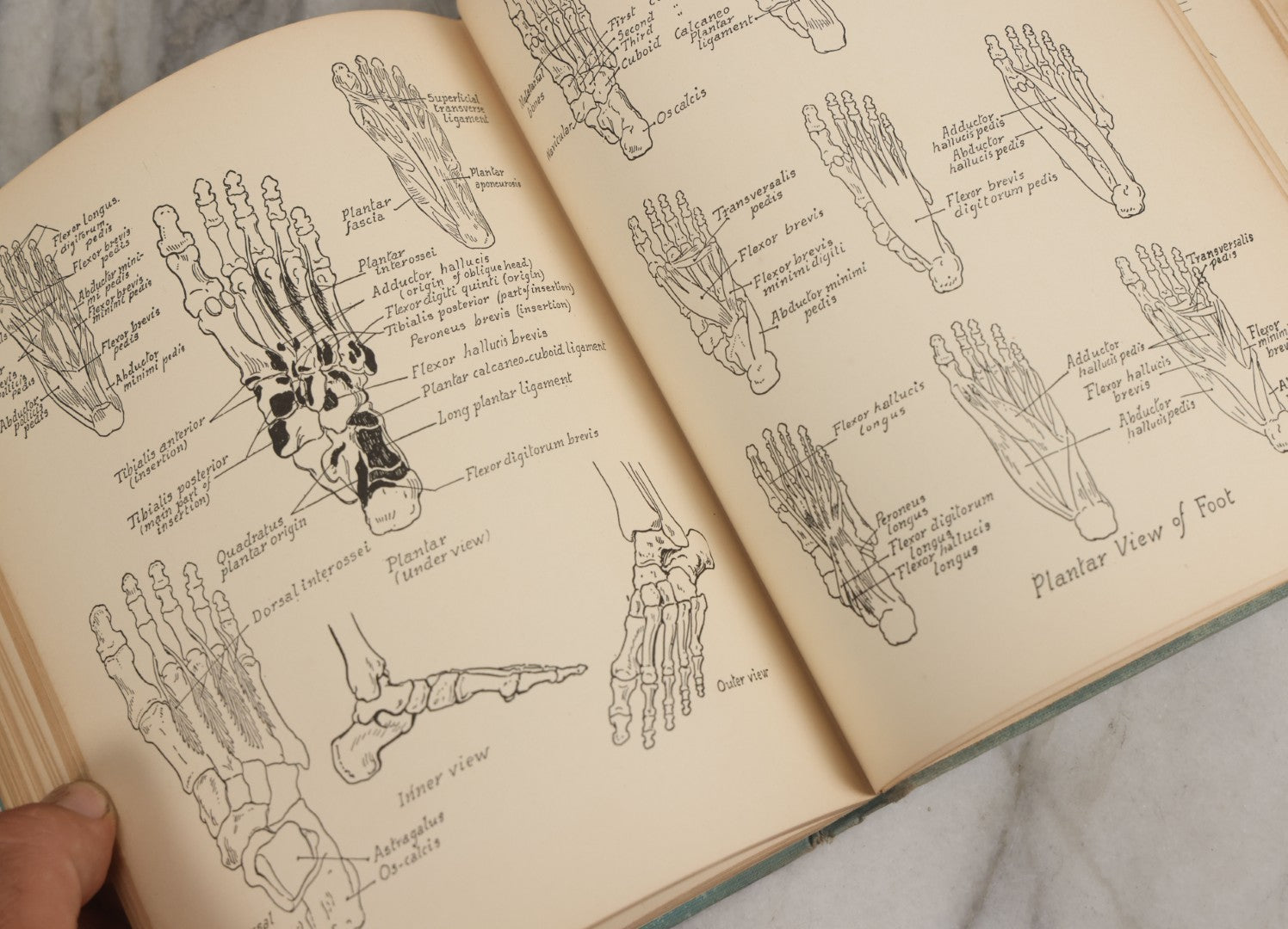 Lot 061 - "Anatomy And Drawing" Vintage Book By Victor Perard With Over One Thousand Illustrations Published By The Author, Third Edition, Fourth Printing, 1940