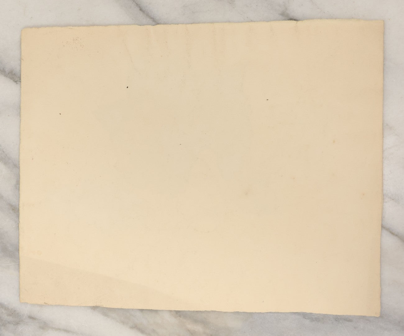 Lot 082 - Antique Unframed Botanical Watercolor Painting On Paper, Study Of Grapes Grape Leaves Circa 1890