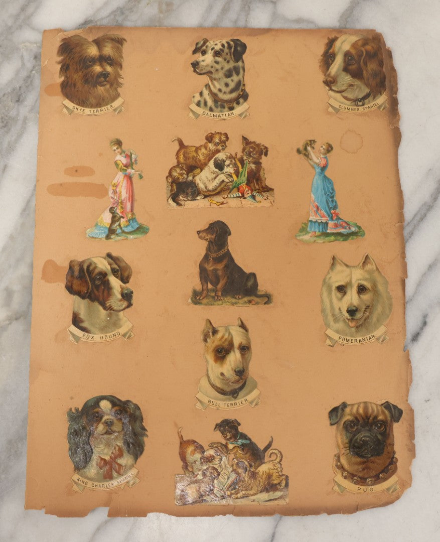 Lot 103 - Grouping Of Seven Antique Victorian Loose Scrapbook Pages With Various Die Cut Lithographed Scraps Mostly Of Pets Animals Dogs Cats Frogs Etc.