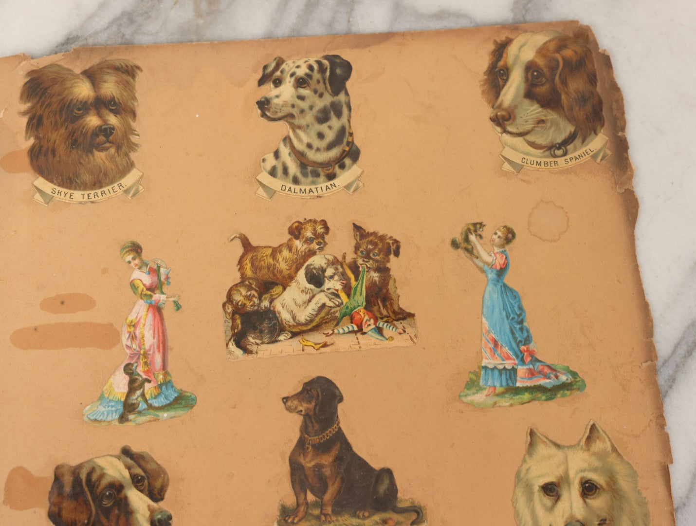 Lot 103 - Grouping Of Seven Antique Victorian Loose Scrapbook Pages With Various Die Cut Lithographed Scraps Mostly Of Pets Animals Dogs Cats Frogs Etc.