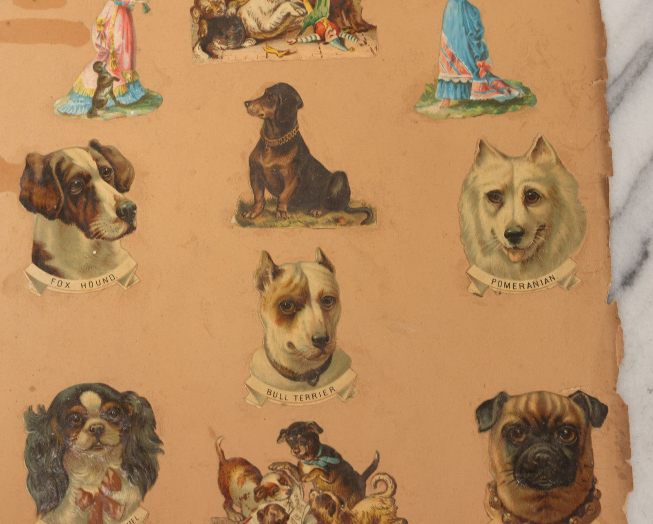 Lot 103 - Grouping Of Seven Antique Victorian Loose Scrapbook Pages With Various Die Cut Lithographed Scraps Mostly Of Pets Animals Dogs Cats Frogs Etc.