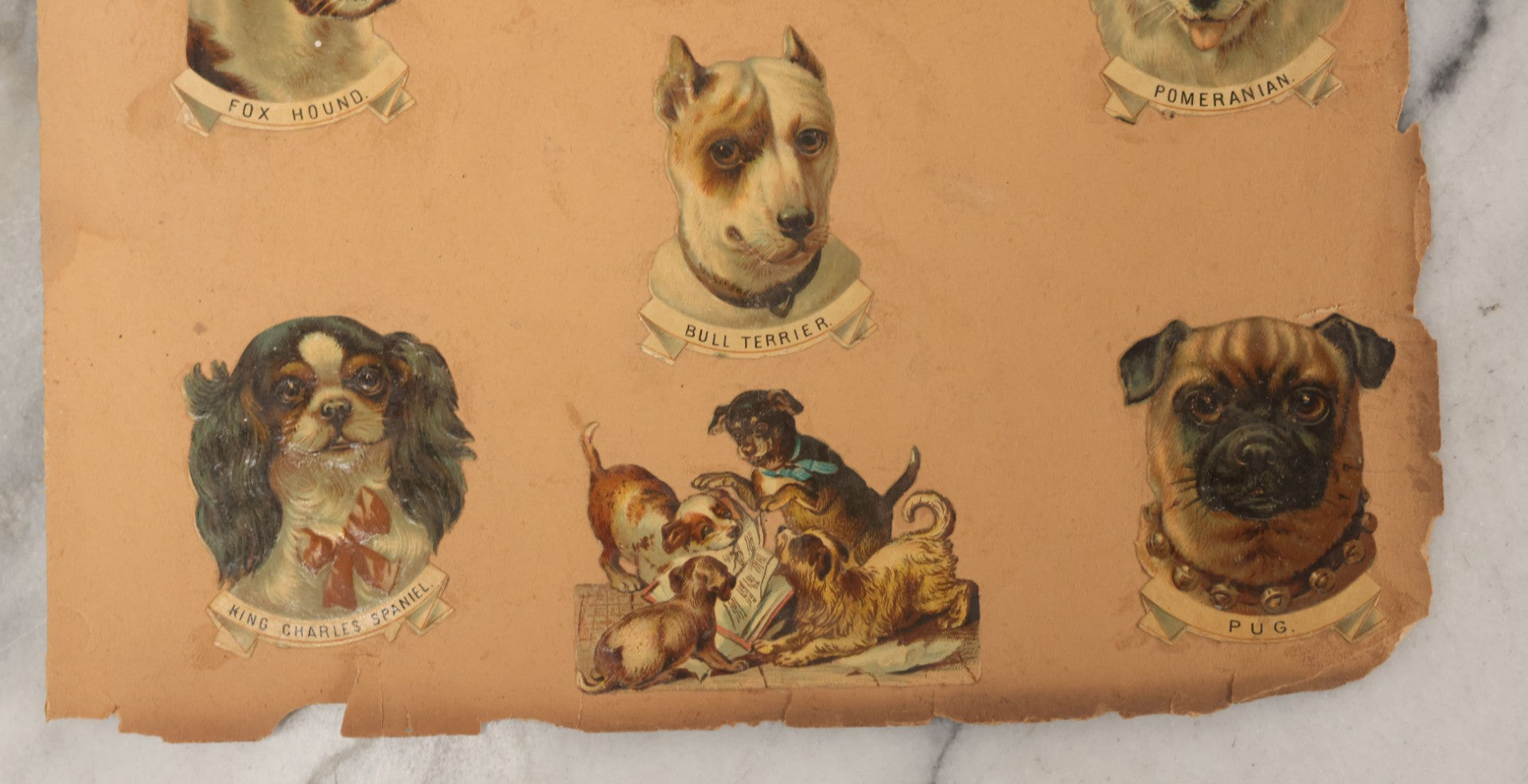 Lot 103 - Grouping Of Seven Antique Victorian Loose Scrapbook Pages With Various Die Cut Lithographed Scraps Mostly Of Pets Animals Dogs Cats Frogs Etc.