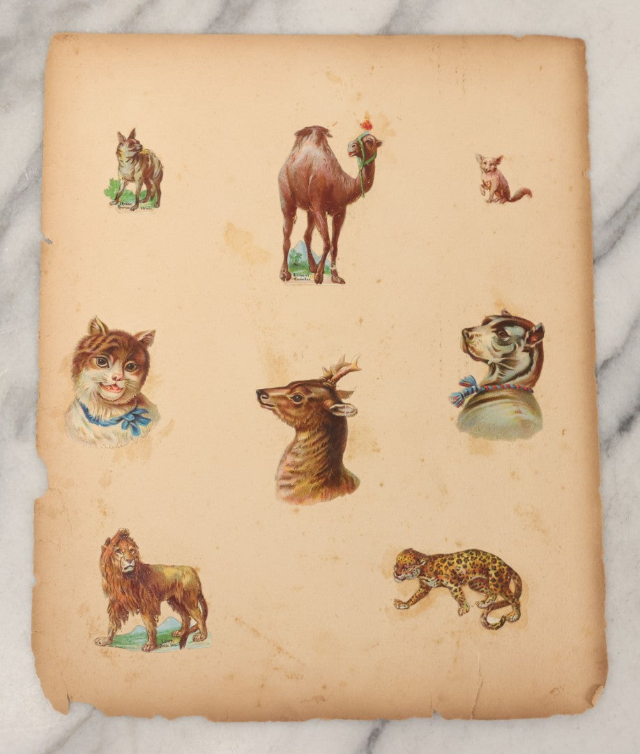 Lot 103 - Grouping Of Seven Antique Victorian Loose Scrapbook Pages With Various Die Cut Lithographed Scraps Mostly Of Pets Animals Dogs Cats Frogs Etc.