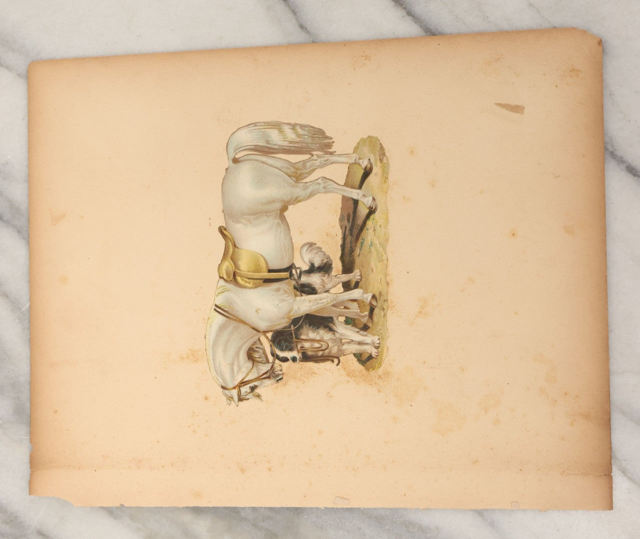 Lot 103 - Grouping Of Seven Antique Victorian Loose Scrapbook Pages With Various Die Cut Lithographed Scraps Mostly Of Pets Animals Dogs Cats Frogs Etc.