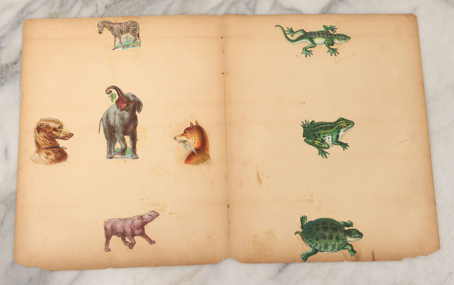 Lot 103 - Grouping Of Seven Antique Victorian Loose Scrapbook Pages With Various Die Cut Lithographed Scraps Mostly Of Pets Animals Dogs Cats Frogs Etc.