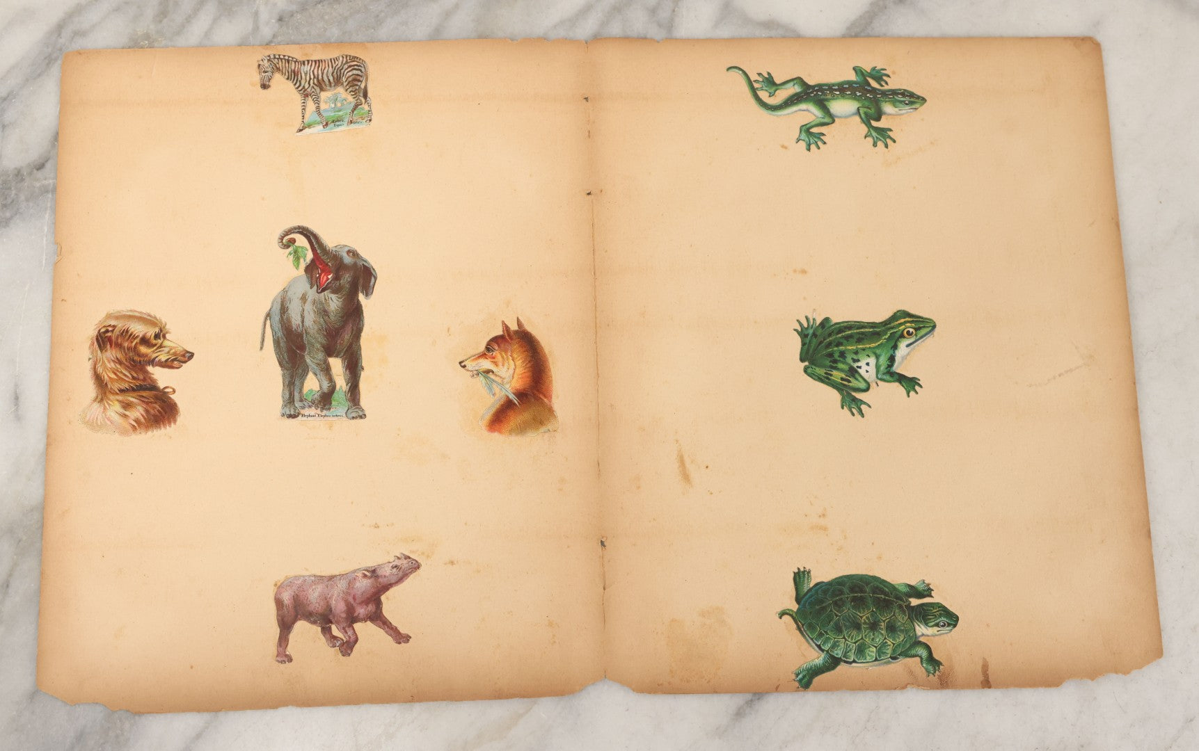 Lot 103 - Grouping Of Seven Antique Victorian Loose Scrapbook Pages With Various Die Cut Lithographed Scraps Mostly Of Pets Animals Dogs Cats Frogs Etc.