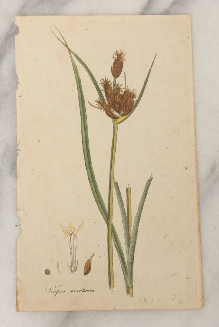 Lot 104 - Grouping Of Seven Antique Loose Engraving Prints Some Hand Colored, Including Battle Of Edge Hill, Cooperstown, New York, Botanical, Early Fire Brigade, And More