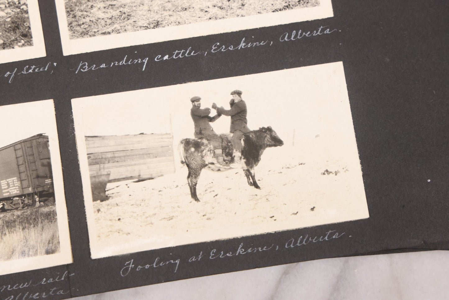 Lot 021 - Antique Snapshot Photo Album Containing 250+ Photographs Including Many Photos Of British Columbia, Railroad Accident, Bears And Bear Hunting, Animals, Cars, And Children, Circa 1905-1920, Note Pages Loose, No Covers