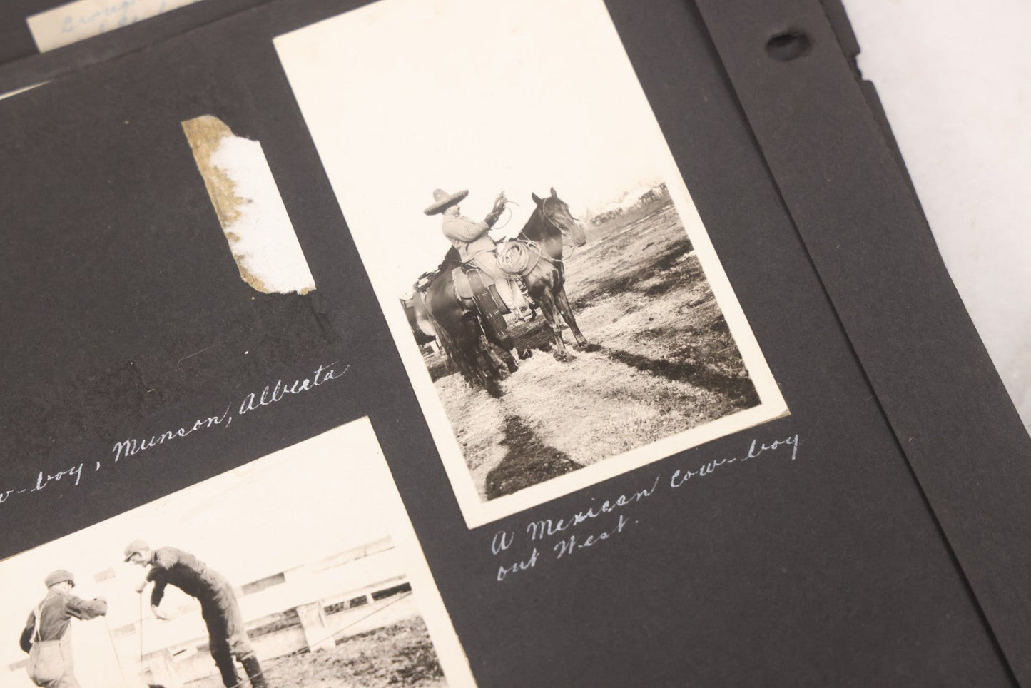 Lot 021 - Antique Snapshot Photo Album Containing 250+ Photographs Including Many Photos Of British Columbia, Railroad Accident, Bears And Bear Hunting, Animals, Cars, And Children, Circa 1905-1920, Note Pages Loose, No Covers