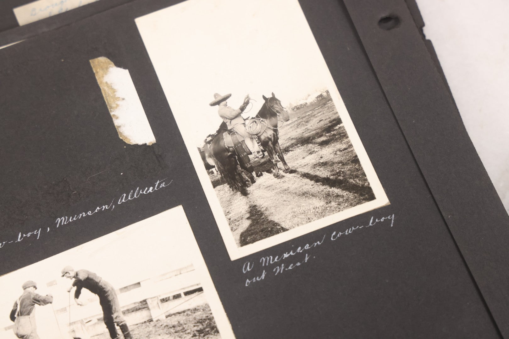 Lot 021 - Antique Snapshot Photo Album Containing 250+ Photographs Including Many Photos Of British Columbia, Railroad Accident, Bears And Bear Hunting, Animals, Cars, And Children, Circa 1905-1920, Note Pages Loose, No Covers