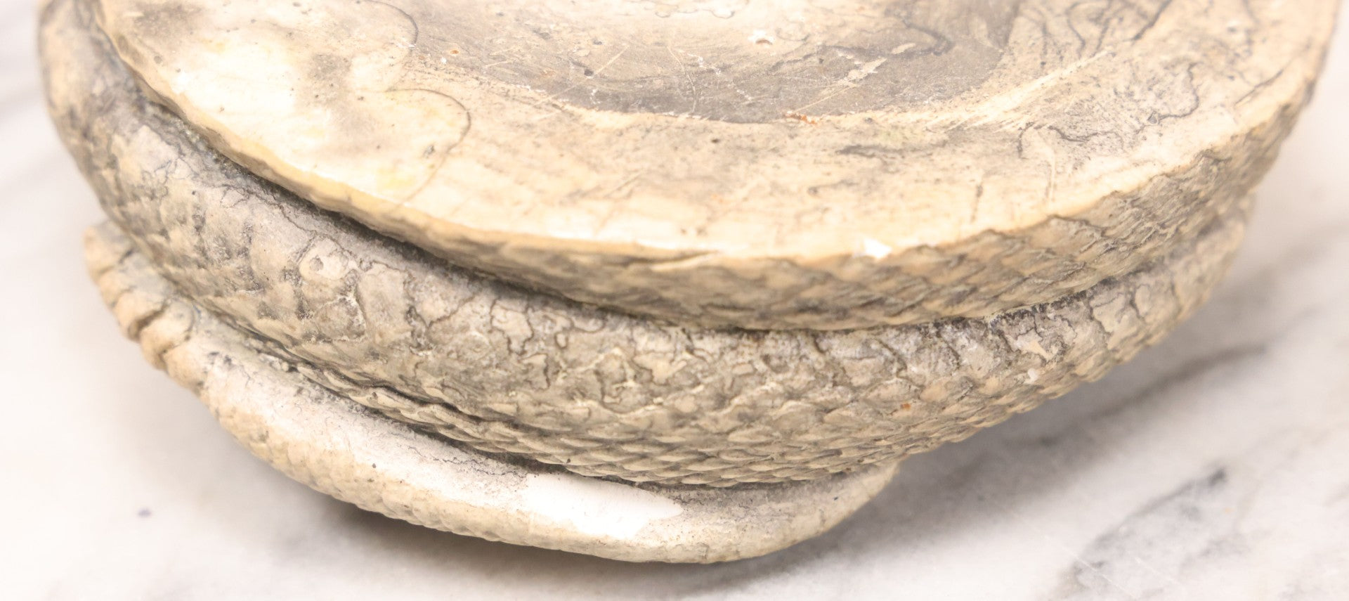 Lot 064 - Pair Of Vintage Snake Novelties Including Chalkware Snake Ashtray Decoy And Jointed Folk Art Snake Toy