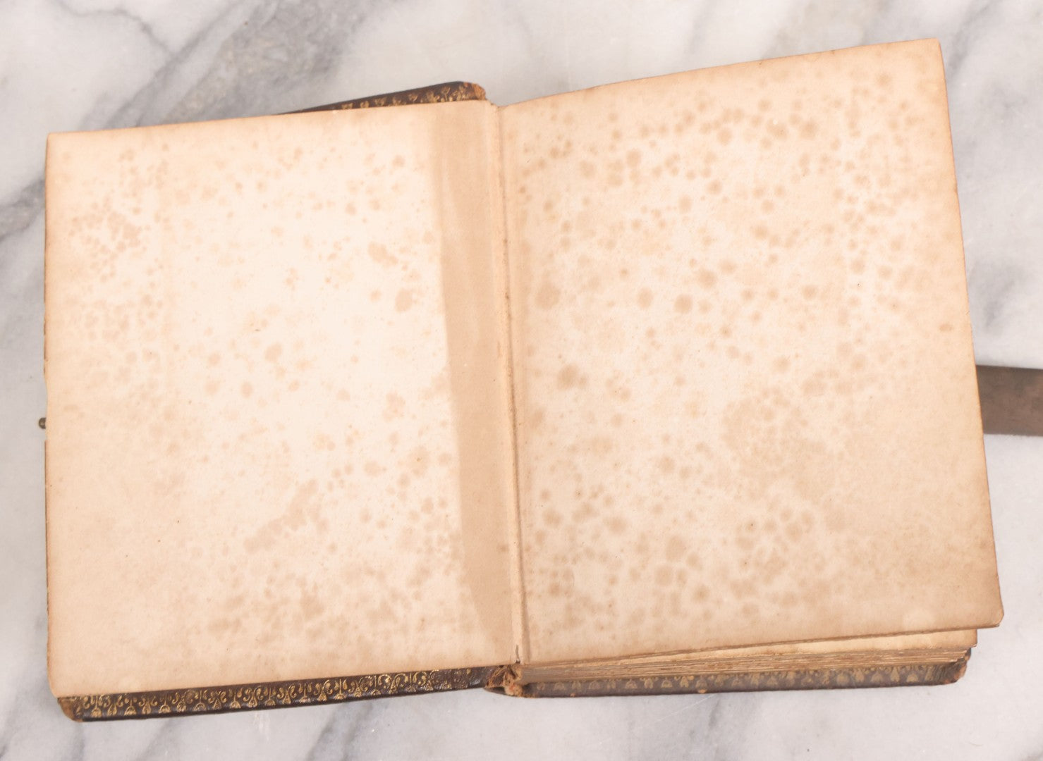 Lot 086 - Antique Family Photo Album With Mostly Trimmed Real Photo Postcards R.P.P.C., Snapshots, And Other Photos, With 26 Photos In All, Including Girl With Doll, Soldier, Woman With Dog, And Others, Most Identified