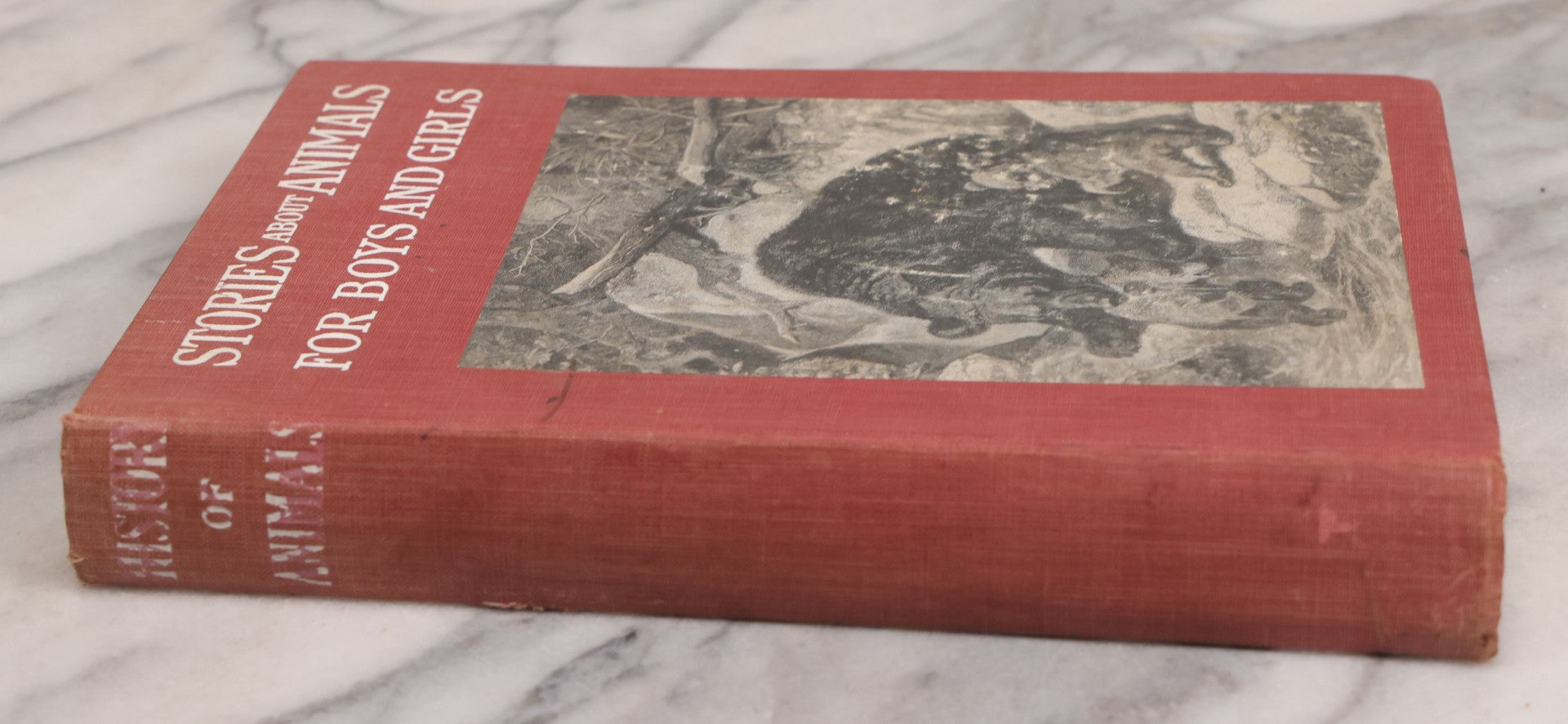 Lot 105 - "Stories About Animals For Boys And Girls, The Child's History Of Animals, A Natural History For The Young" Antique Book By Frederick Lonnkvist, Illustrated With Plates And Engravings, Copyright 1901 By W.E. Scull