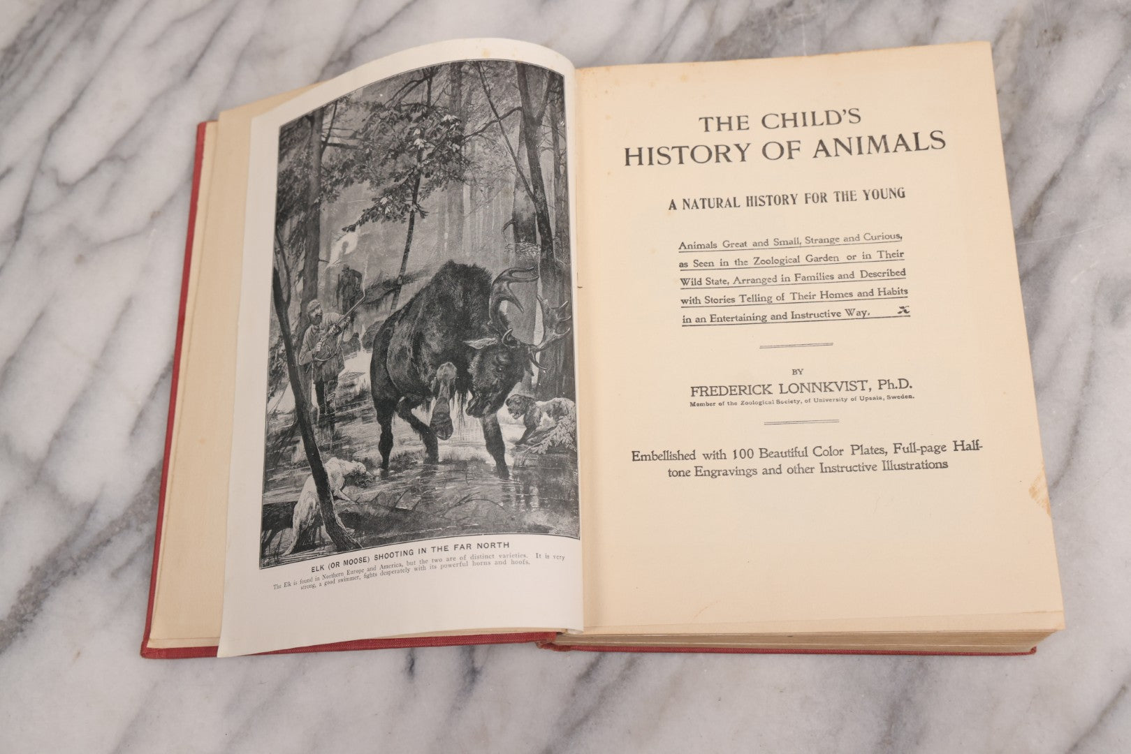 Lot 105 - "Stories About Animals For Boys And Girls, The Child's History Of Animals, A Natural History For The Young" Antique Book By Frederick Lonnkvist, Illustrated With Plates And Engravings, Copyright 1901 By W.E. Scull